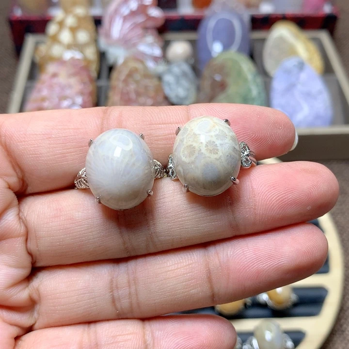 颈饰未镶嵌硅化珊瑚（珊瑚玉）西**包