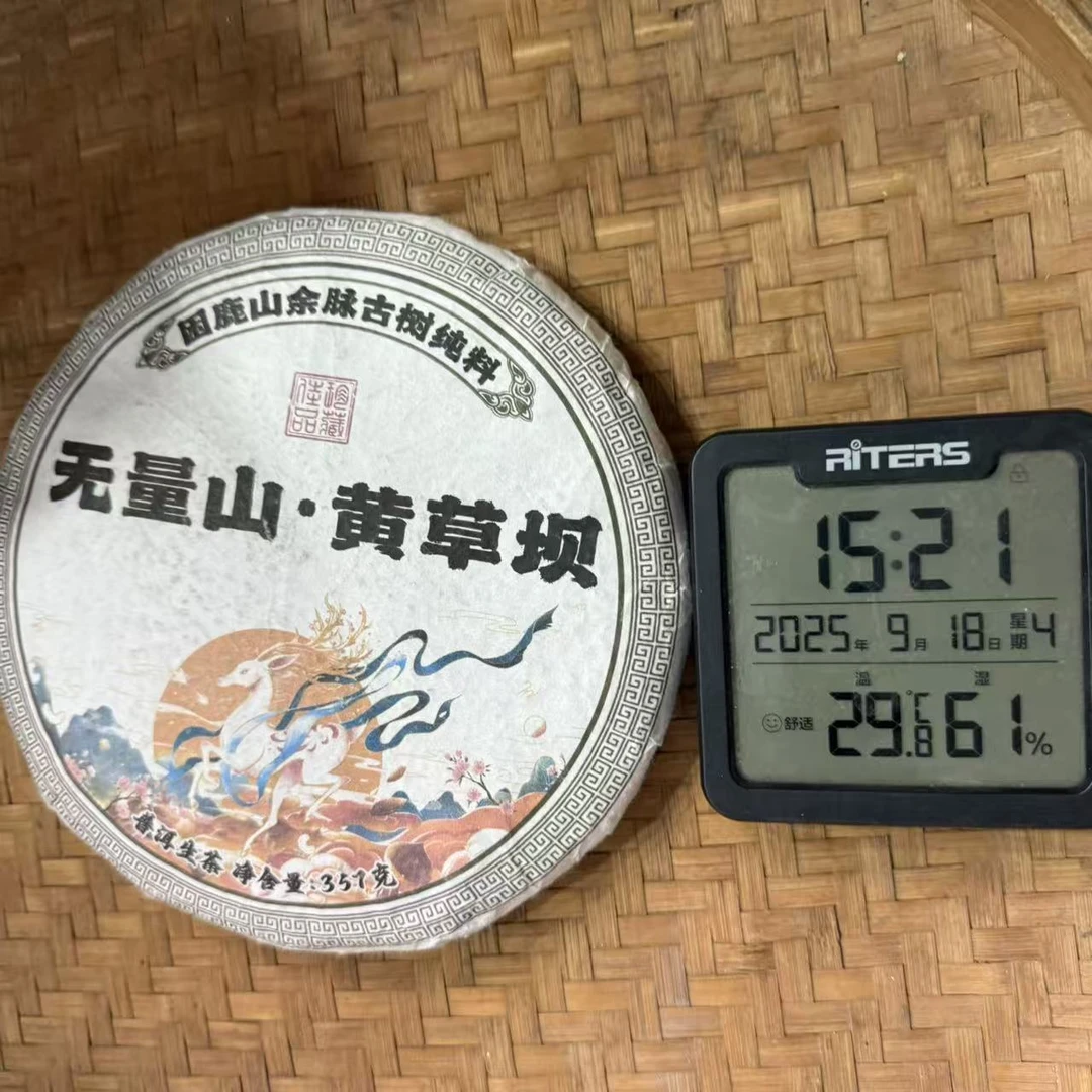 2021年无量山黄草坝困鹿山余脉古树普洱生茶饼357克Y59号9月18日