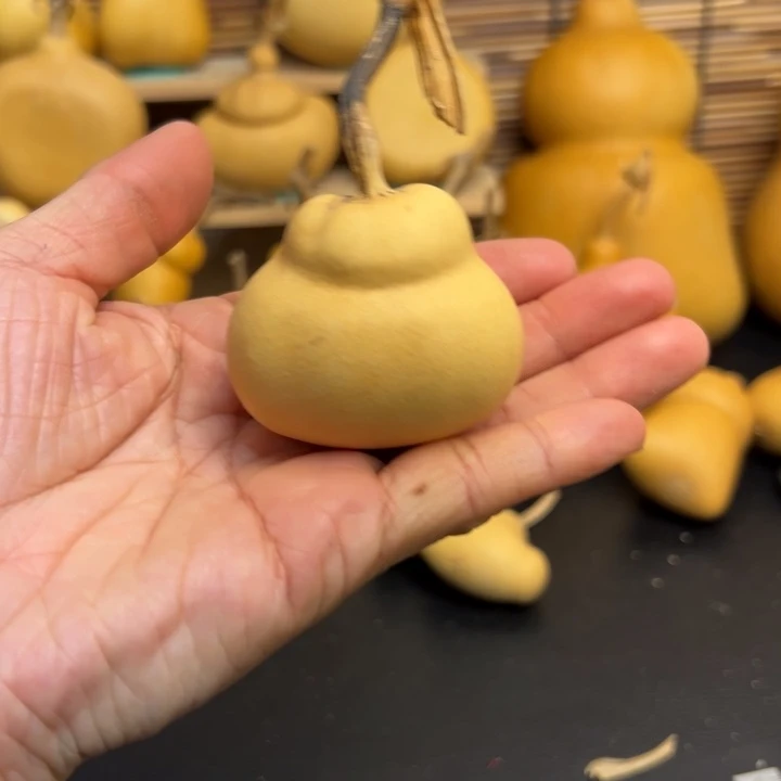 胖*姐葫芦葫芦葫芦葫芦葫芦葫芦