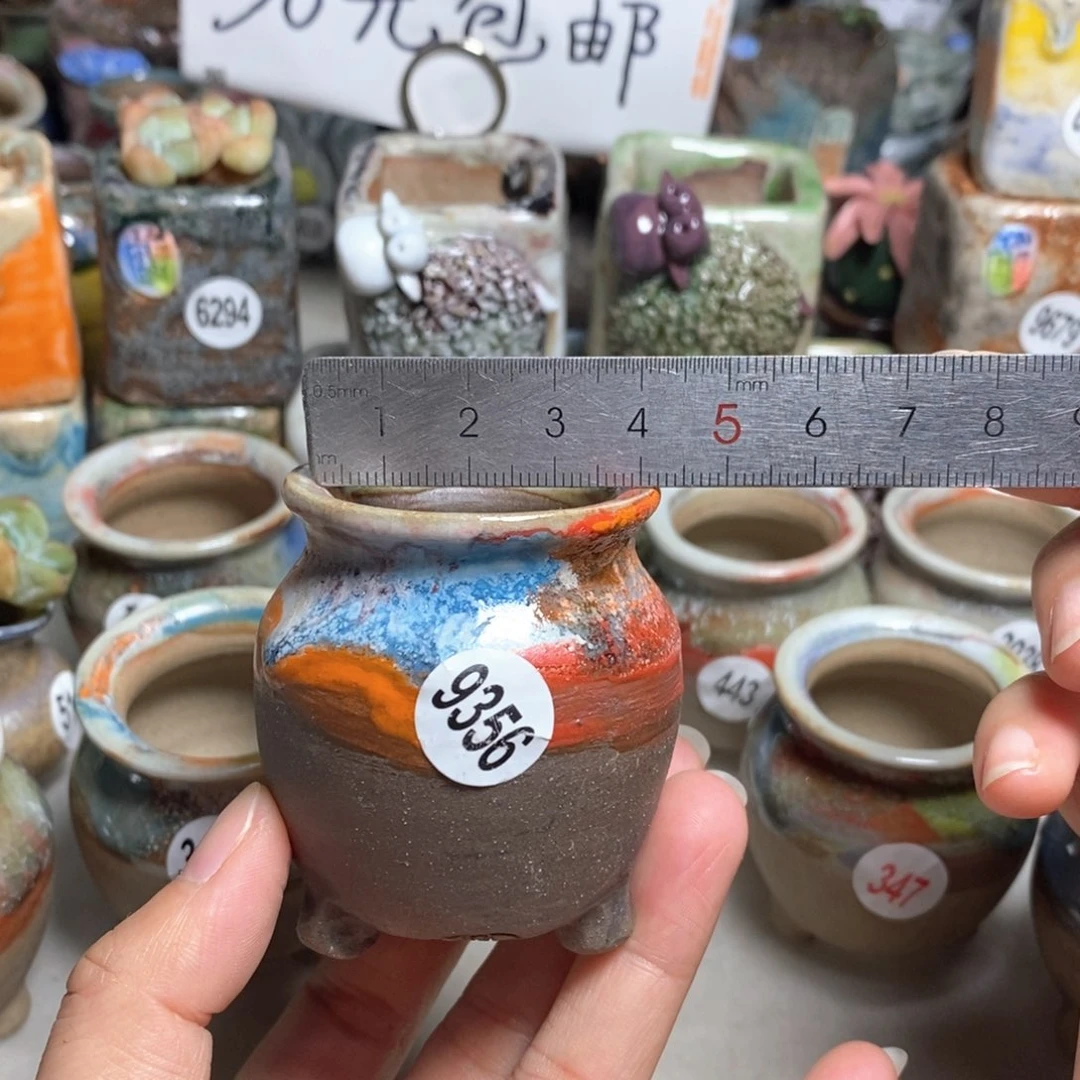 拍5送一个小礼物