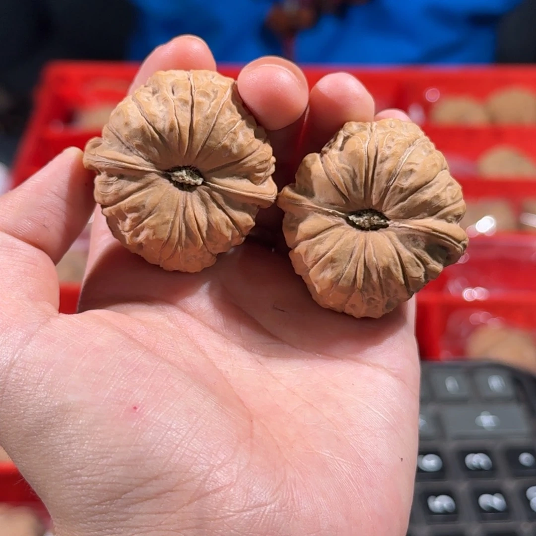 文玩核桃把件245号40mm全品南瓜墩