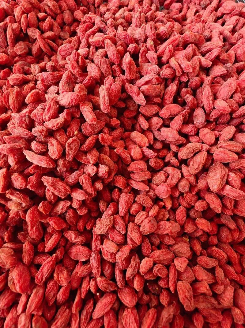 原生态山枸齐半斤包邮