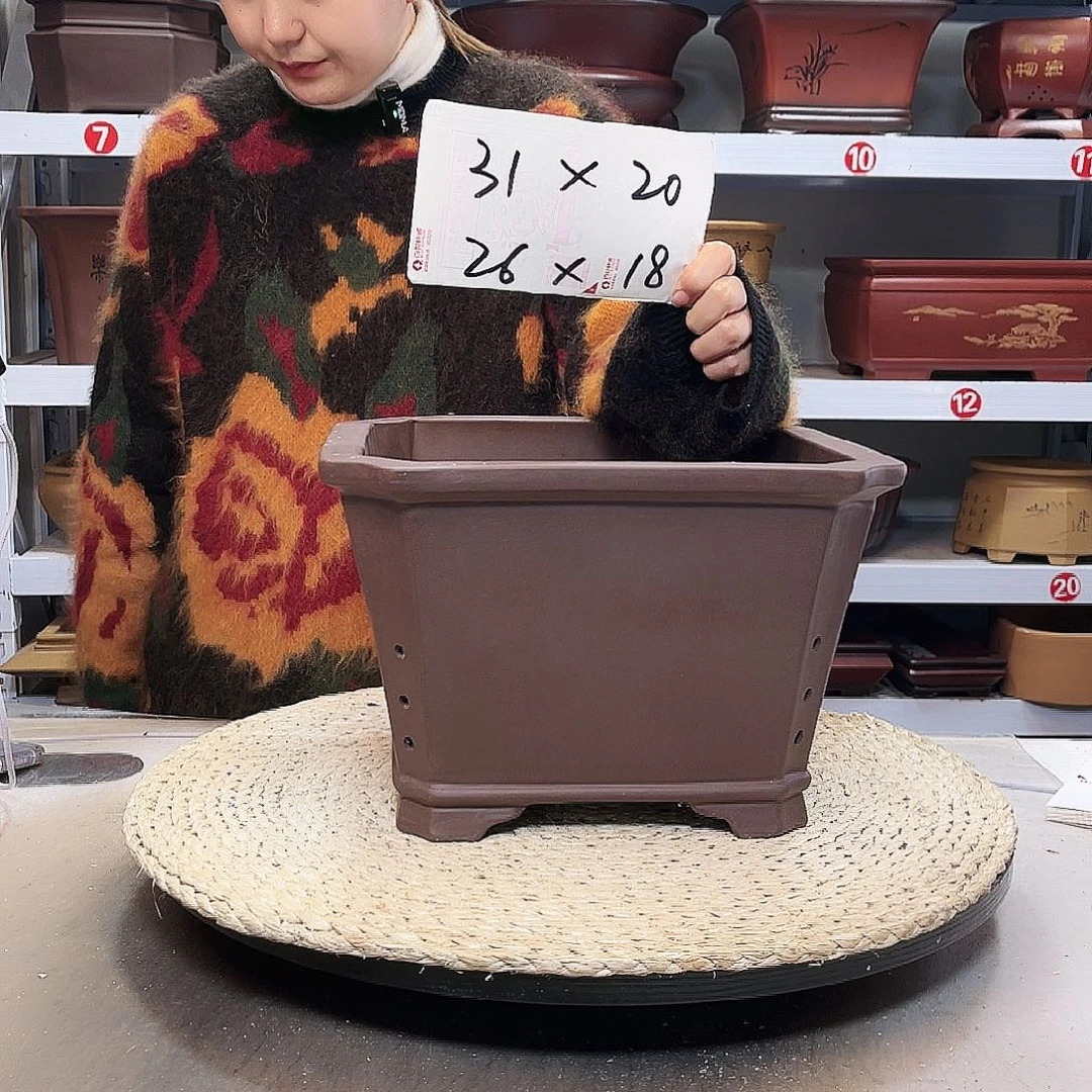 花盆紫砂紫砂花盆里