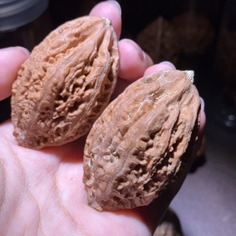 把件文玩核桃东北野生楸子小园 207