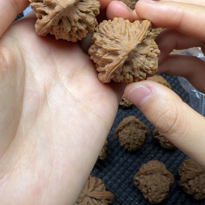 诉***寻核桃秦岭野生虎头狮子头