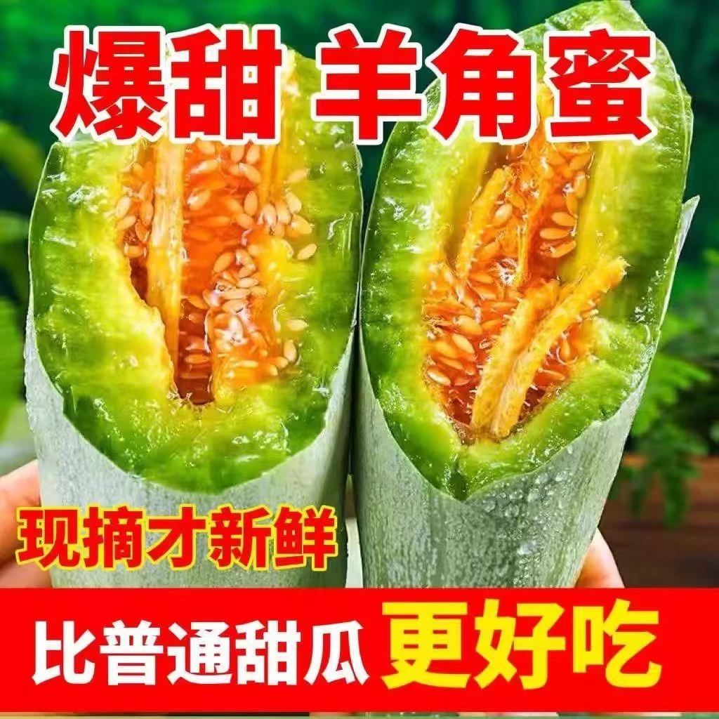 【顺丰包邮】头茬羊角蜜新鲜采摘潍坊羊角蜜甜瓜1斤-5斤整箱发货博洋好吃小孩孕妇现摘现发酥脆山东省