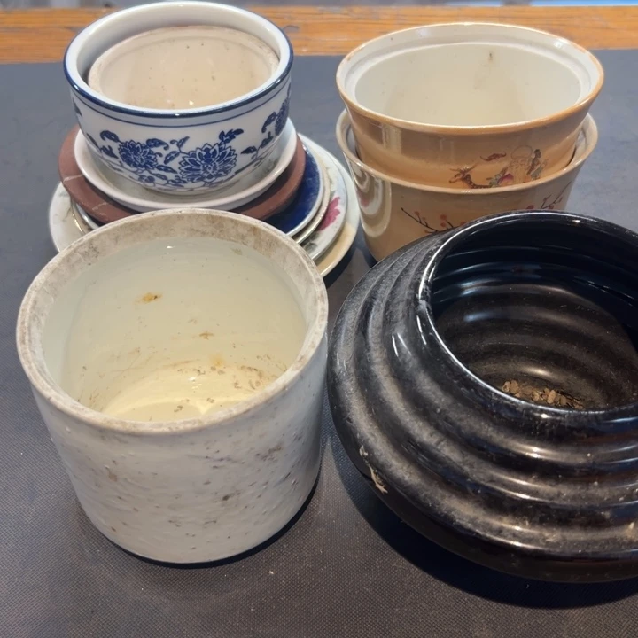 冬***阳瓷片拾六家的瓷器瓷器