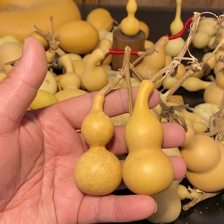 柿**意精品葫芦手把葫芦16