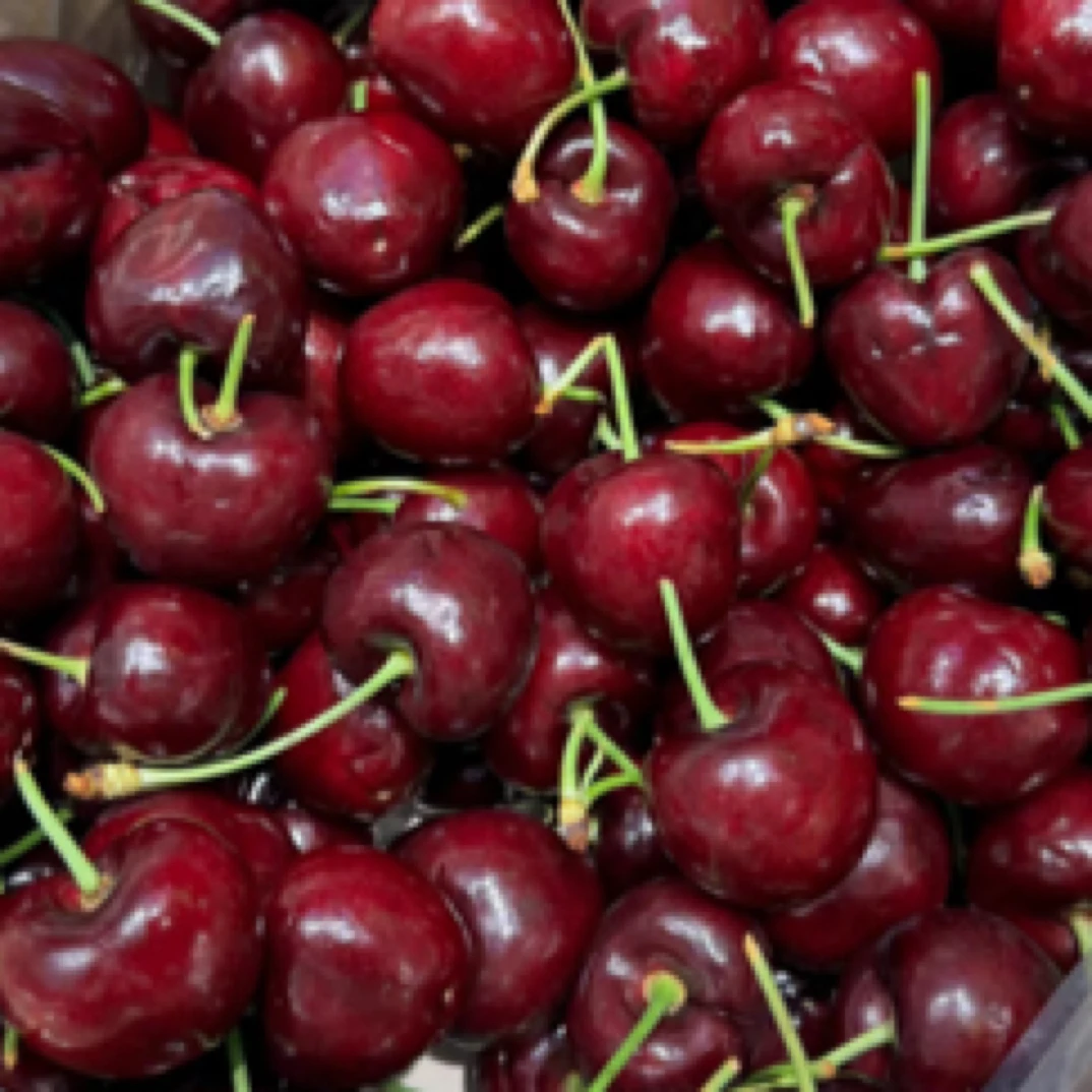 瑞吉娜 车厘子 双J5斤