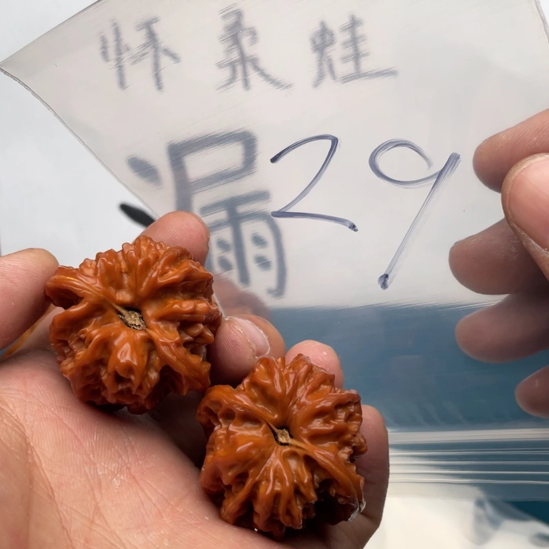 核桃手串/手链W86::68386368846386