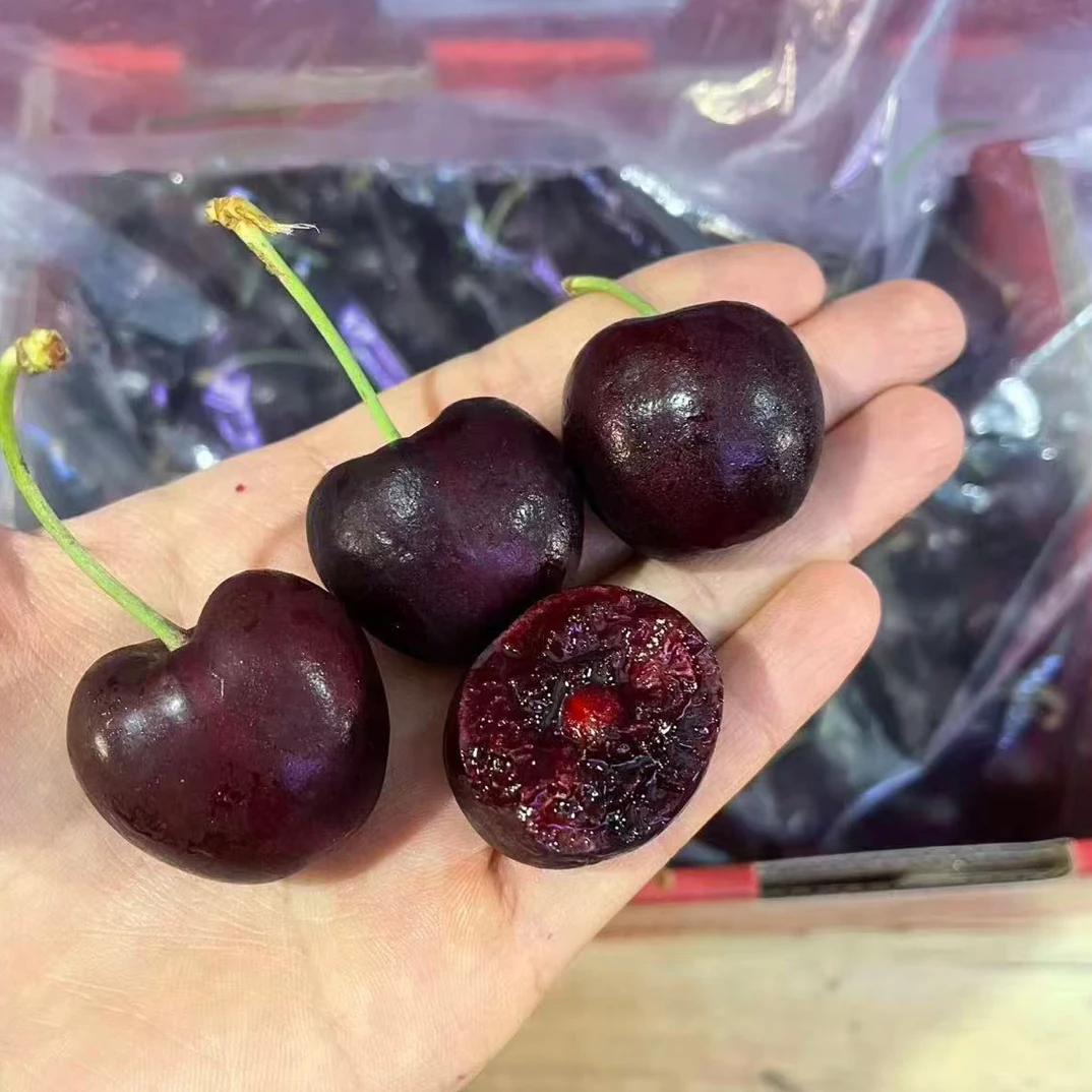 3-4JD新鲜海运桑提娜智利进口车厘子整箱800克-2500克[10个坏果不在售后范围内]桑提娜智利