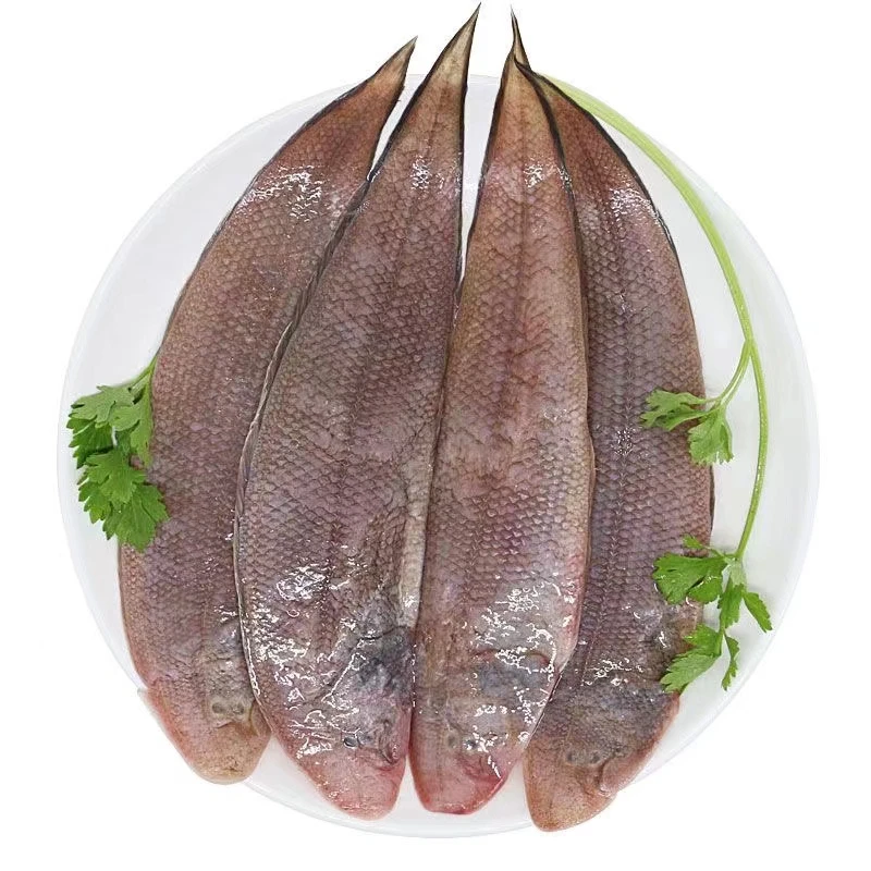 广东茂名渔港新鲜海捕龙利鱼海鲜（1斤10-12条左右，到手5斤）不帮杀