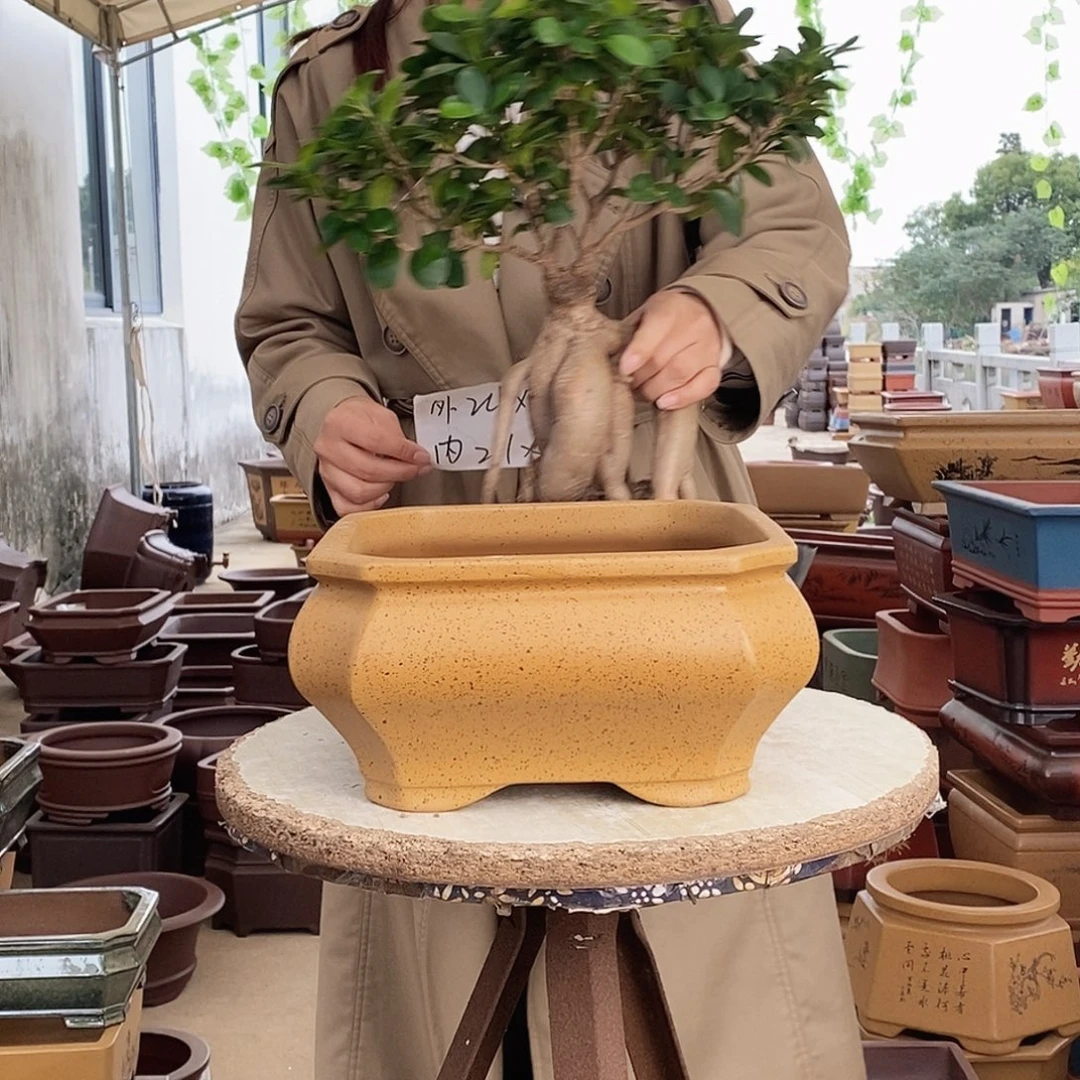 花盆紫砂紫砂花盆