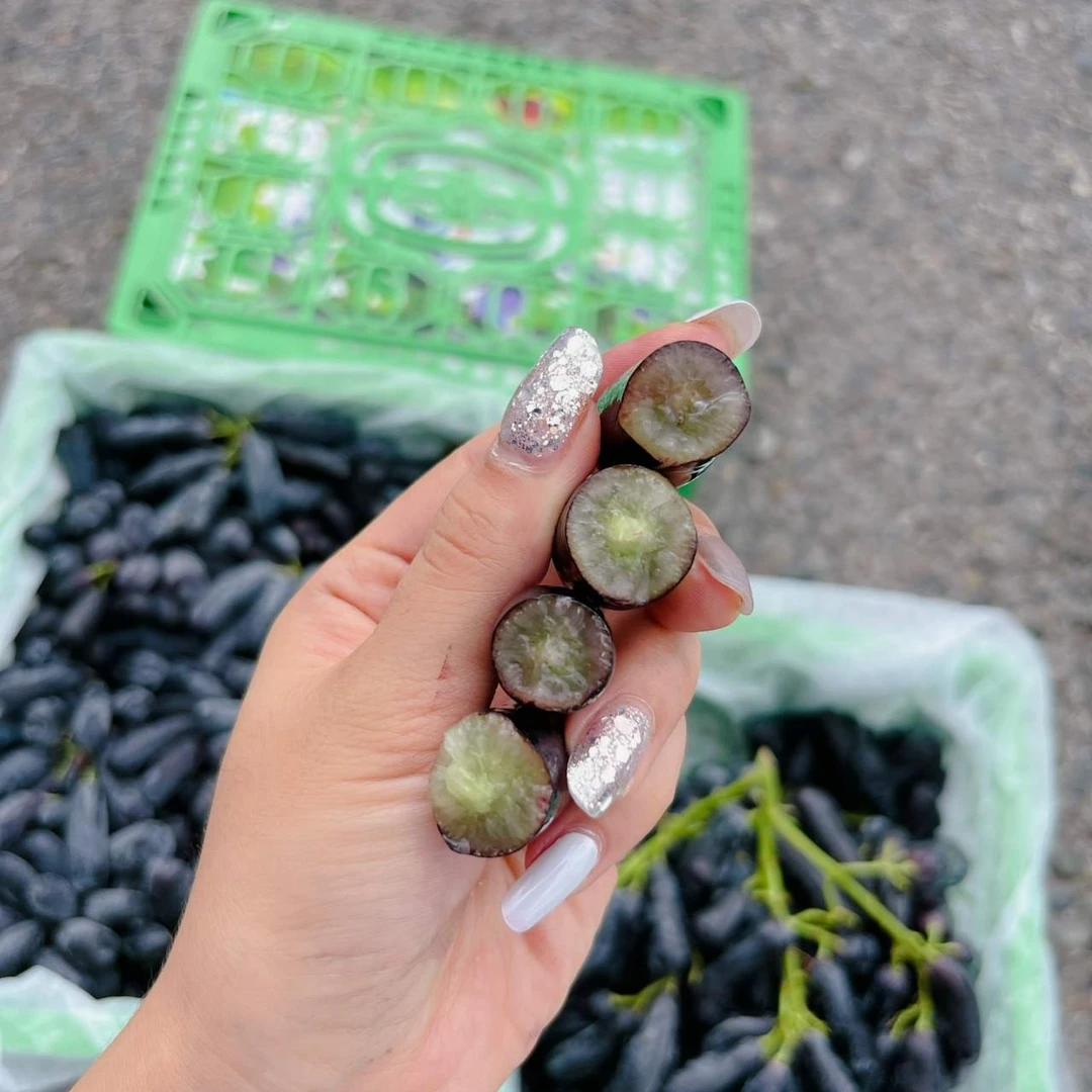 【韩美丽专属】云南金手指黑提 脆甜多汁 颗颗爽口 新鲜应季