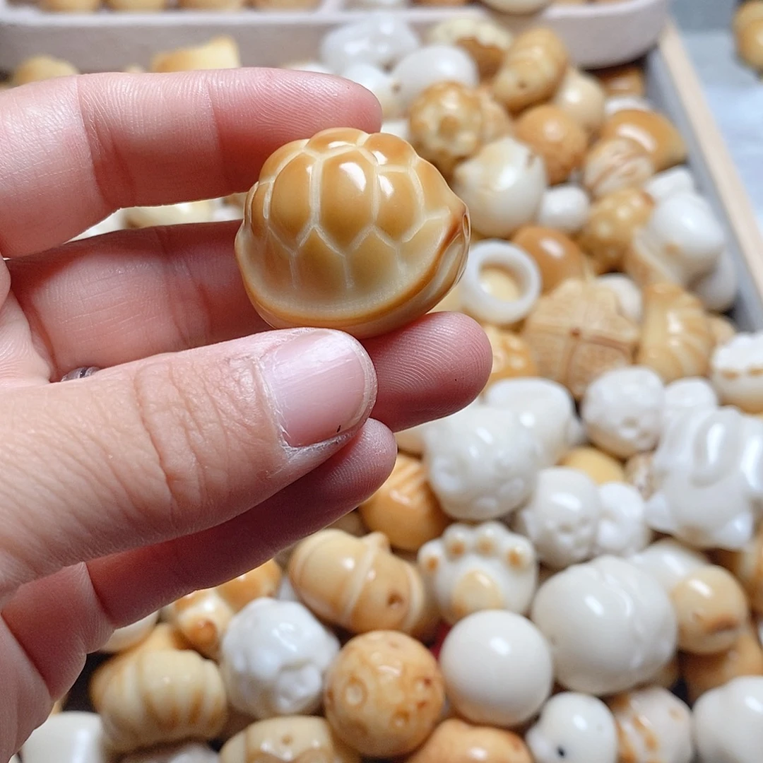 吊坠菩提根/象牙果全品大富甲一个，两颗起拍
