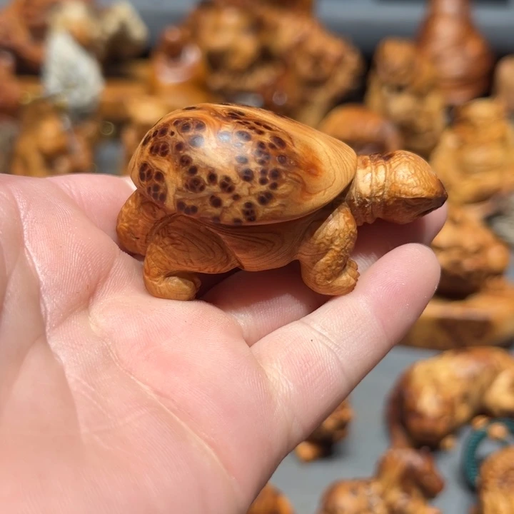 柏木（崖柏）点点关注