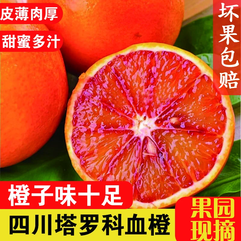 四川塔罗科血橙果园现摘现发饱满多汁皮薄肉厚应季纯甜营养美味