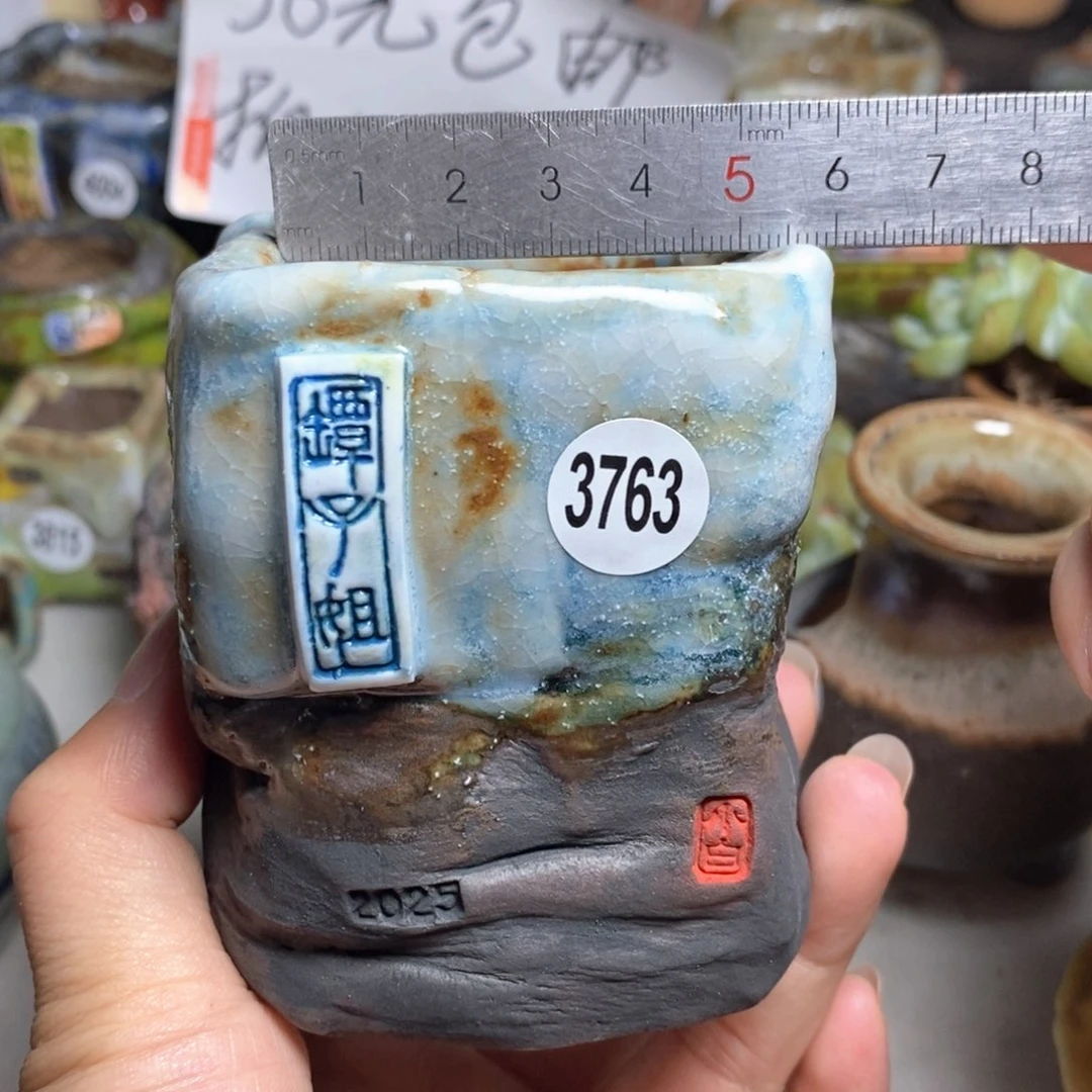 拍5送一个小礼物