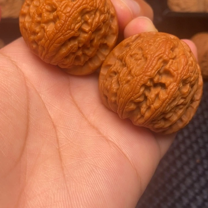 秦岭野生111111111111