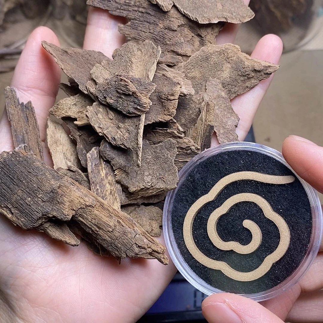 碳化老料18克。