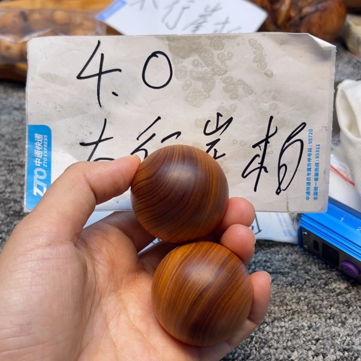 柏木（崖柏）崖柏23