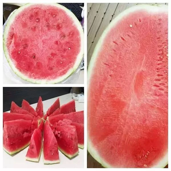 西砂瓜西瓜1元/盒西瓜同城送新疆维吾尔自治区