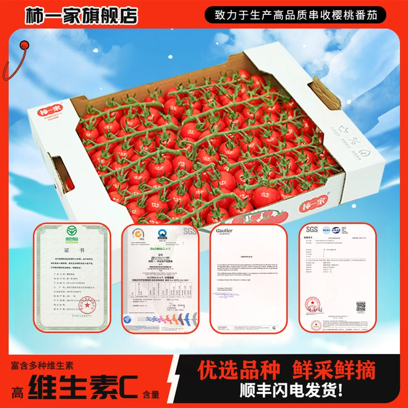 【柿一家】串收樱桃小番茄嫩爽美味免洗1.5kg整箱露营烧烤