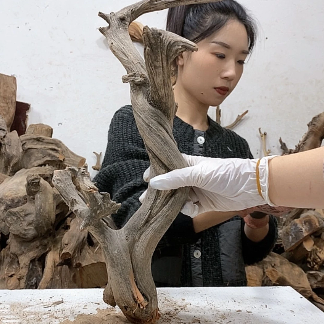 【闪购商品】柏木弓*师我们都是好孩子