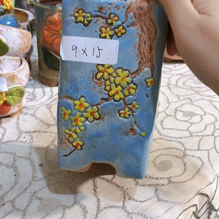 多肉花盆满15包邮