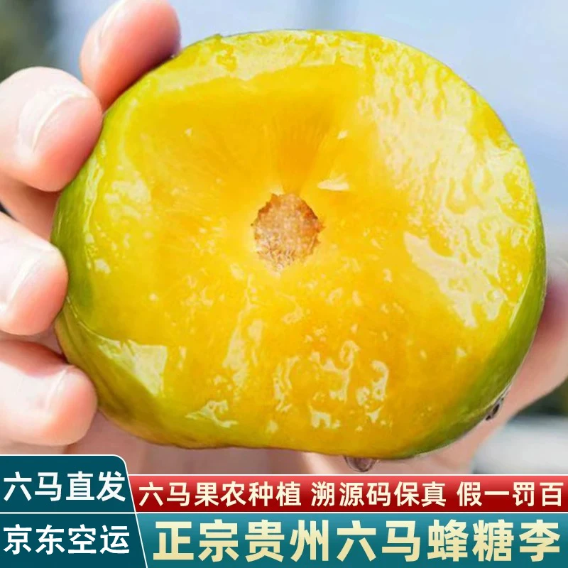 【假一赔万】正宗六马蜂糖李包甜多汁现摘现发空运包邮当季水果