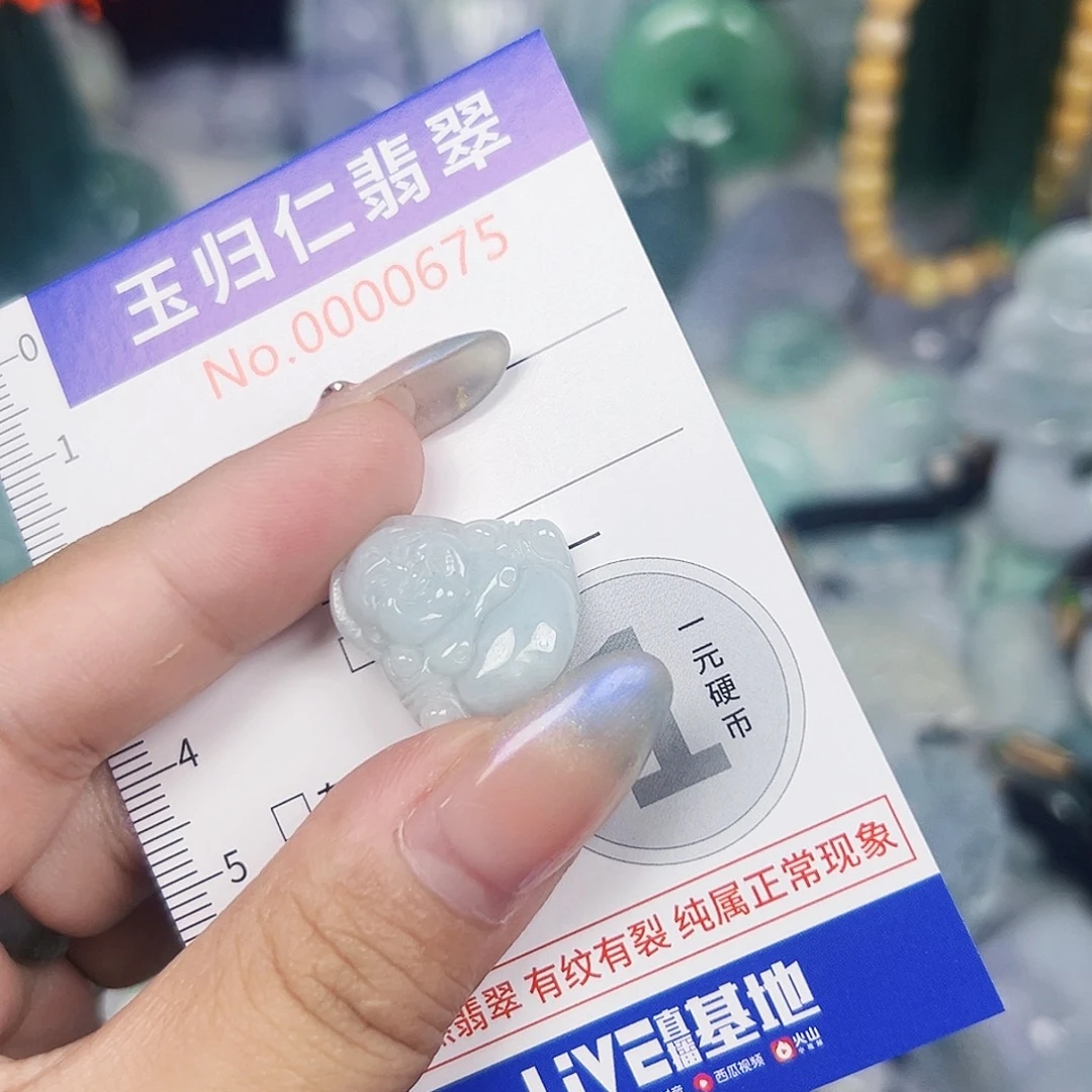 翡翠未镶嵌颈饰111
