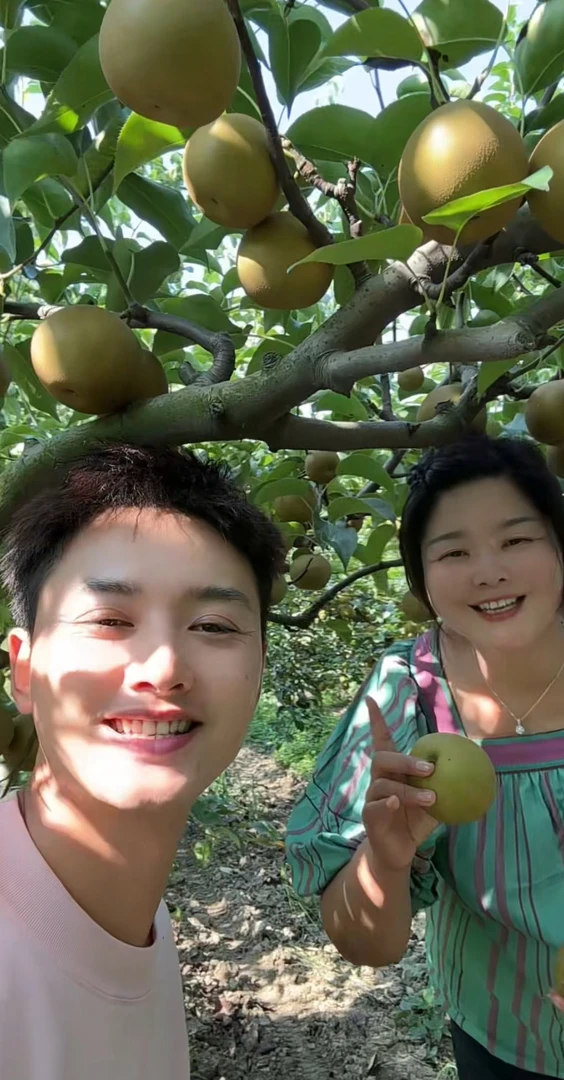 【袁波重庆夫妇】正宗翠冠梨2025年新鲜头茬梨现摘现发脆甜多汁爽口
