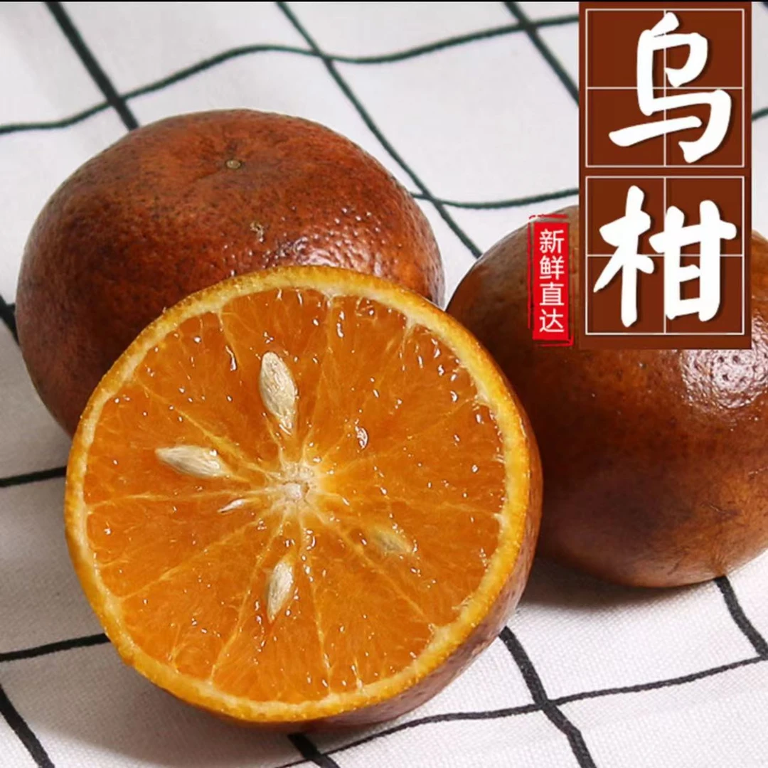 广西武鸣乌柑黑皮乌柑新鲜采摘鲜果直发柑橘橙丑柑橘坏果包赔纯甜