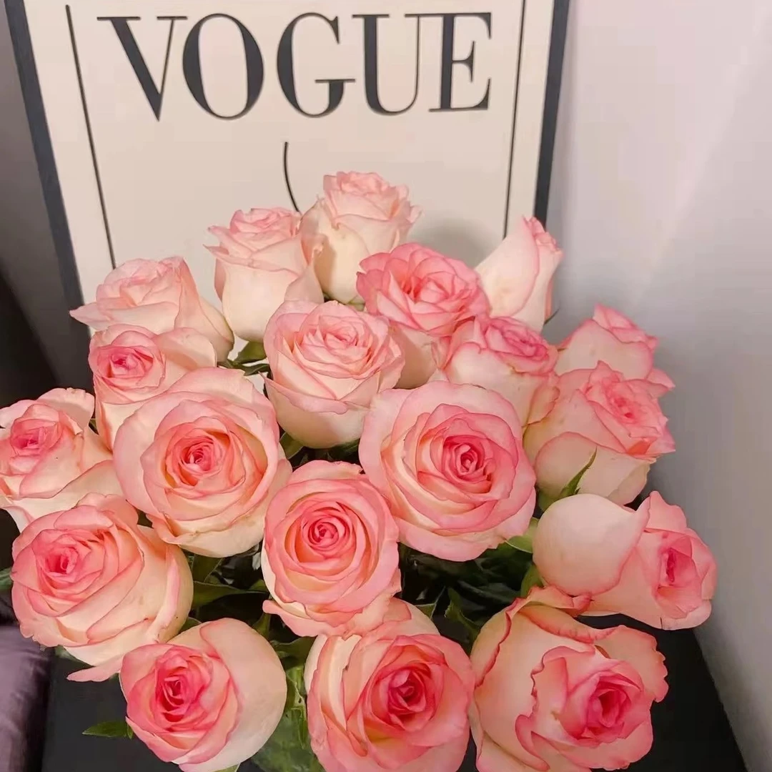 【艾莎18枝+2枝防损】花色淡，三扎包邮 低温请保温棉否则冻坏不售后