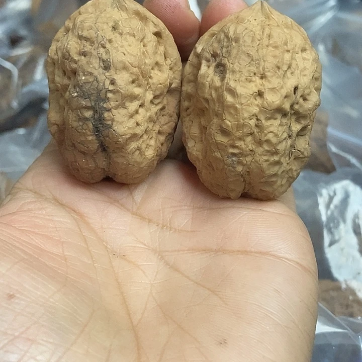 把件文玩核桃云南铁核桃基地94