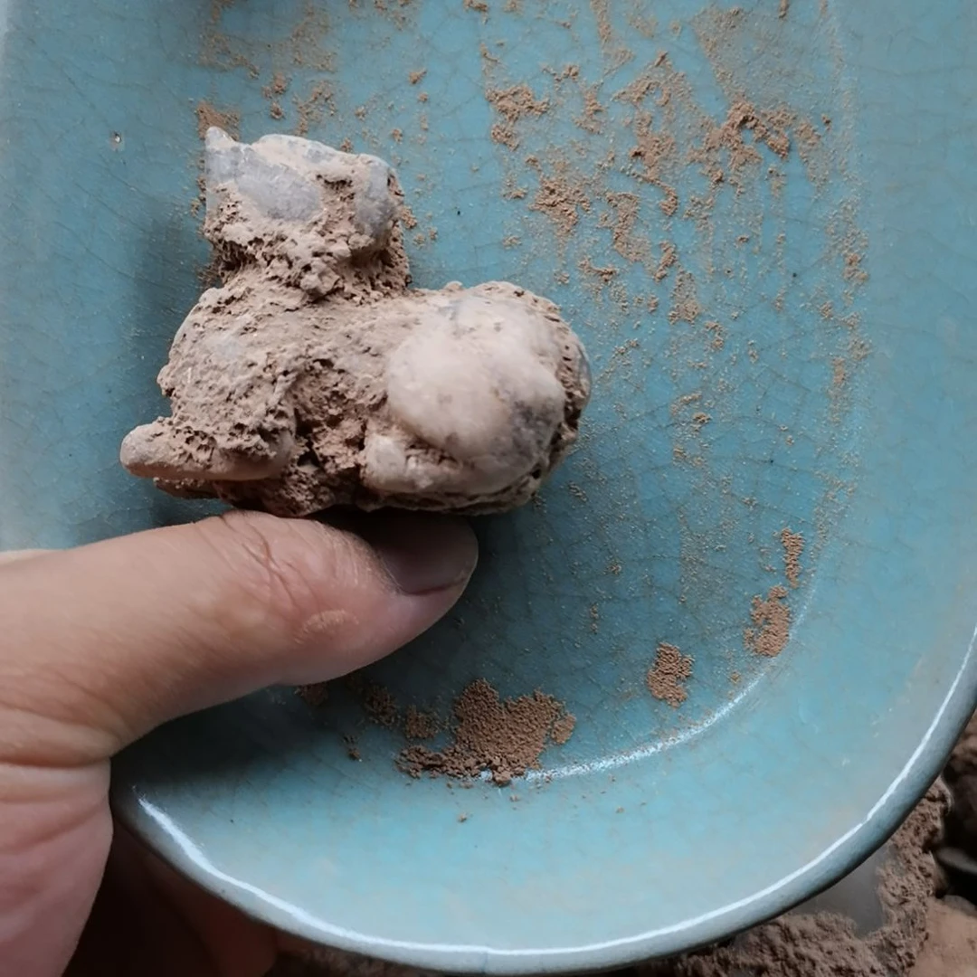 qweerttttreww.111111