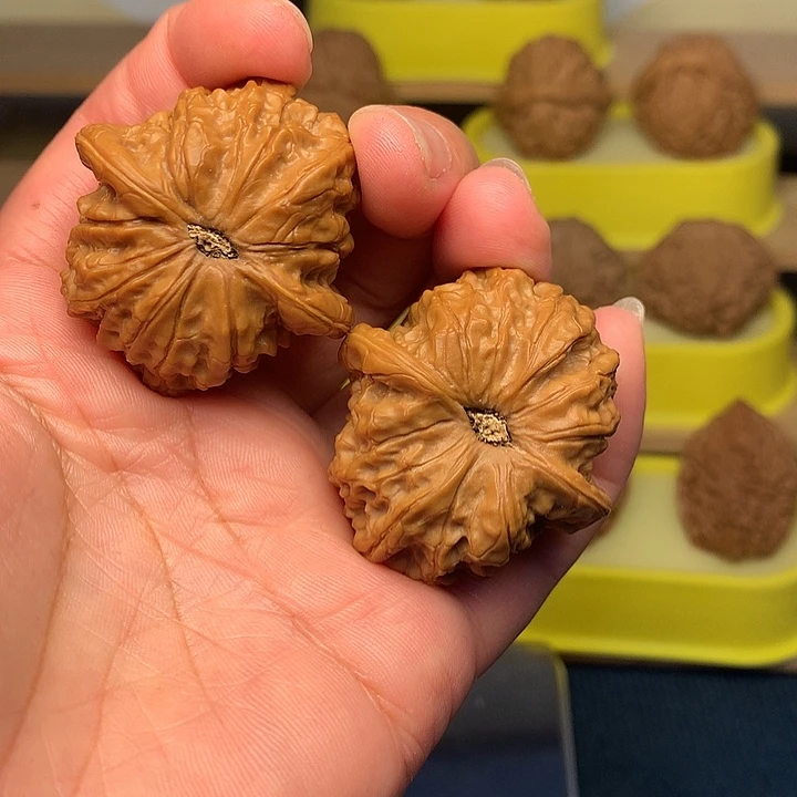 文玩核桃把件血麒麟