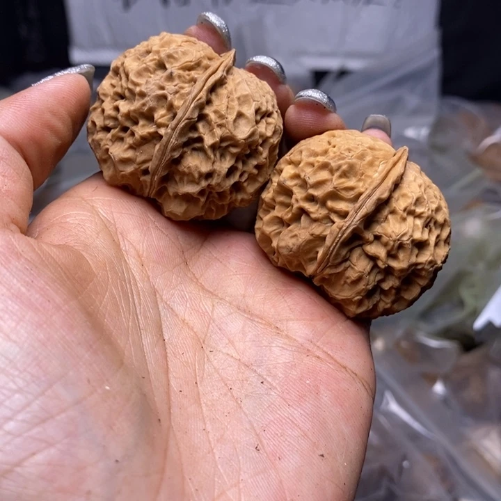 核桃云南野生铁核桃94号40mm