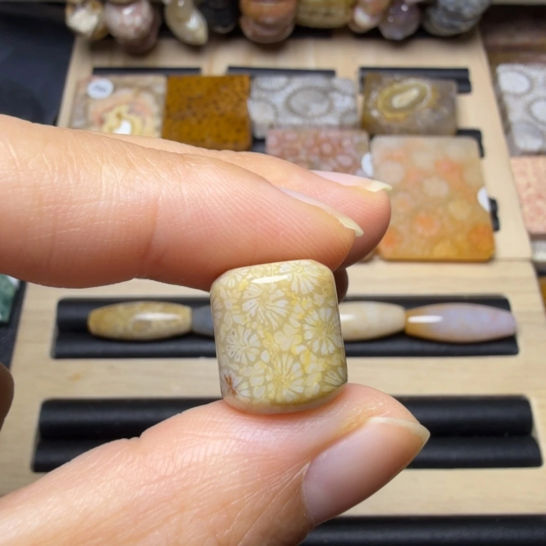 硅化玉未镶嵌100米6颗