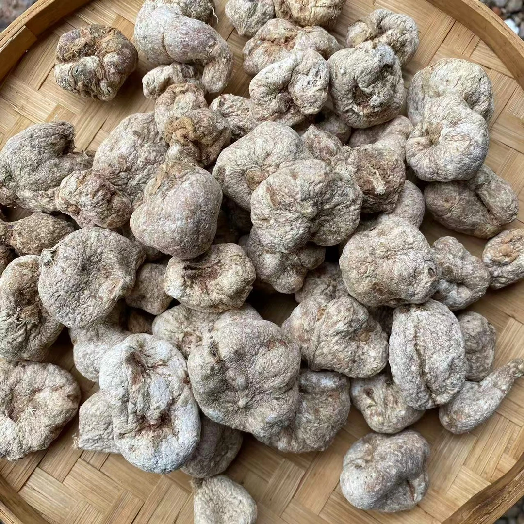 【主播甄选】山货 罗汉参