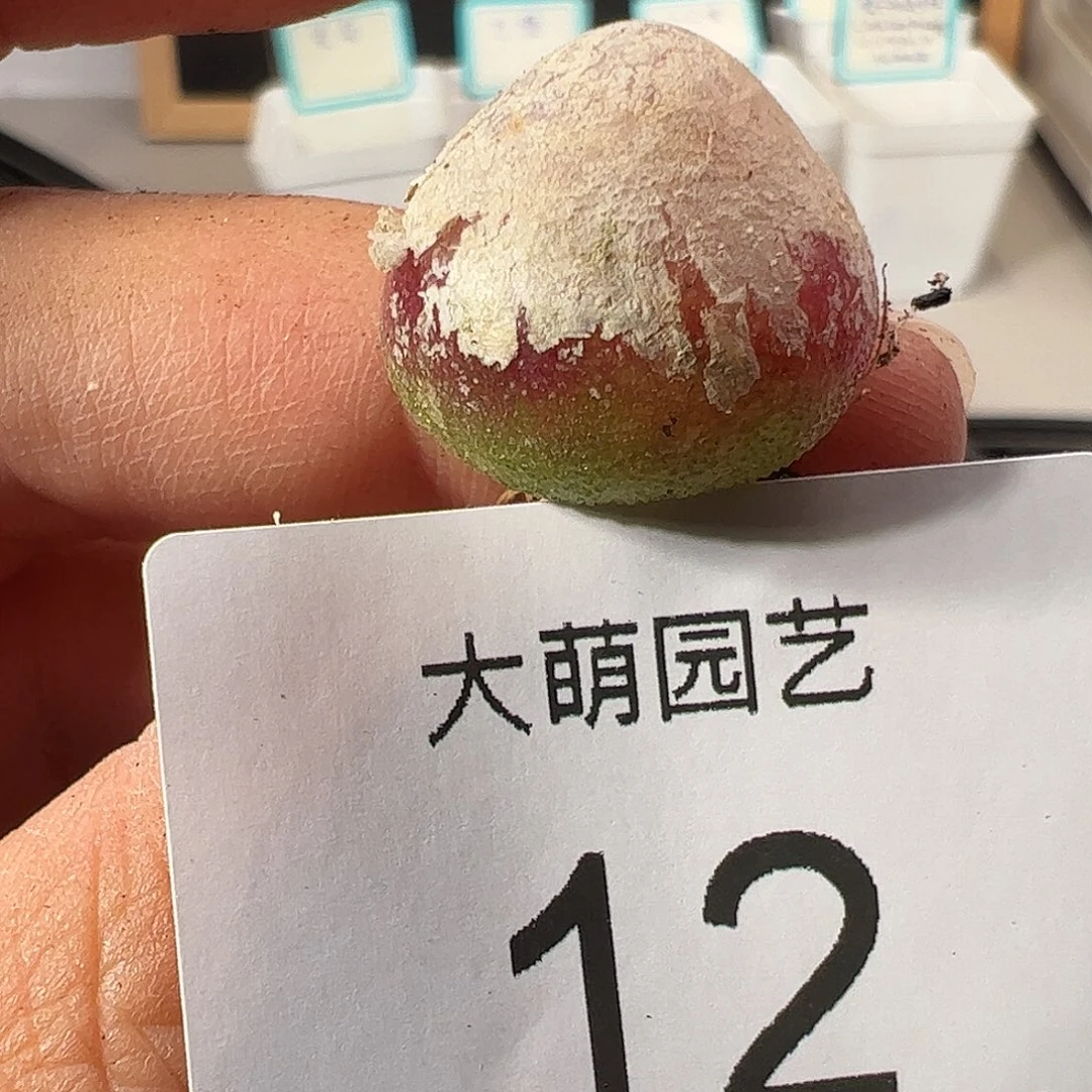 000012 一物一拍……
