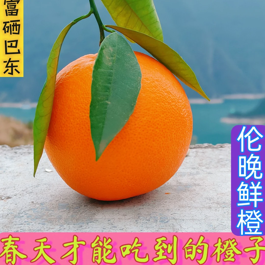 湖北山橙巴东伦晚脐橙新鲜水果细腻鲜甜当季橙子现摘助农现发