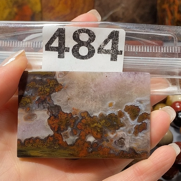 硅化玉未镶嵌天然北票树化玉吊坠