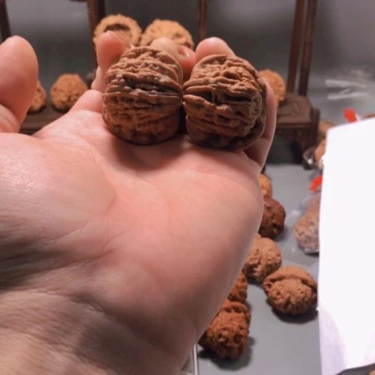 核桃全品无修四座楼