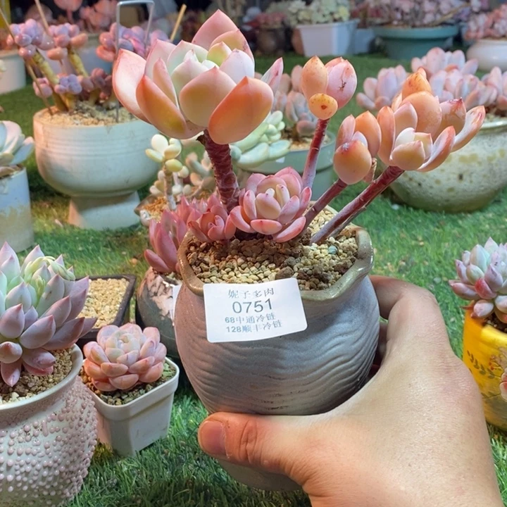 0751啊啊啊啊啊啊啊啊啊啊啊啊