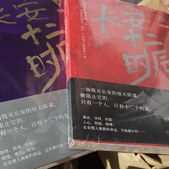 长安十二时辰两本一套正版全新