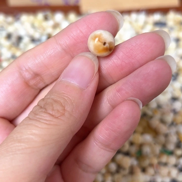 裸石蜜蜡未镶嵌10mm一个