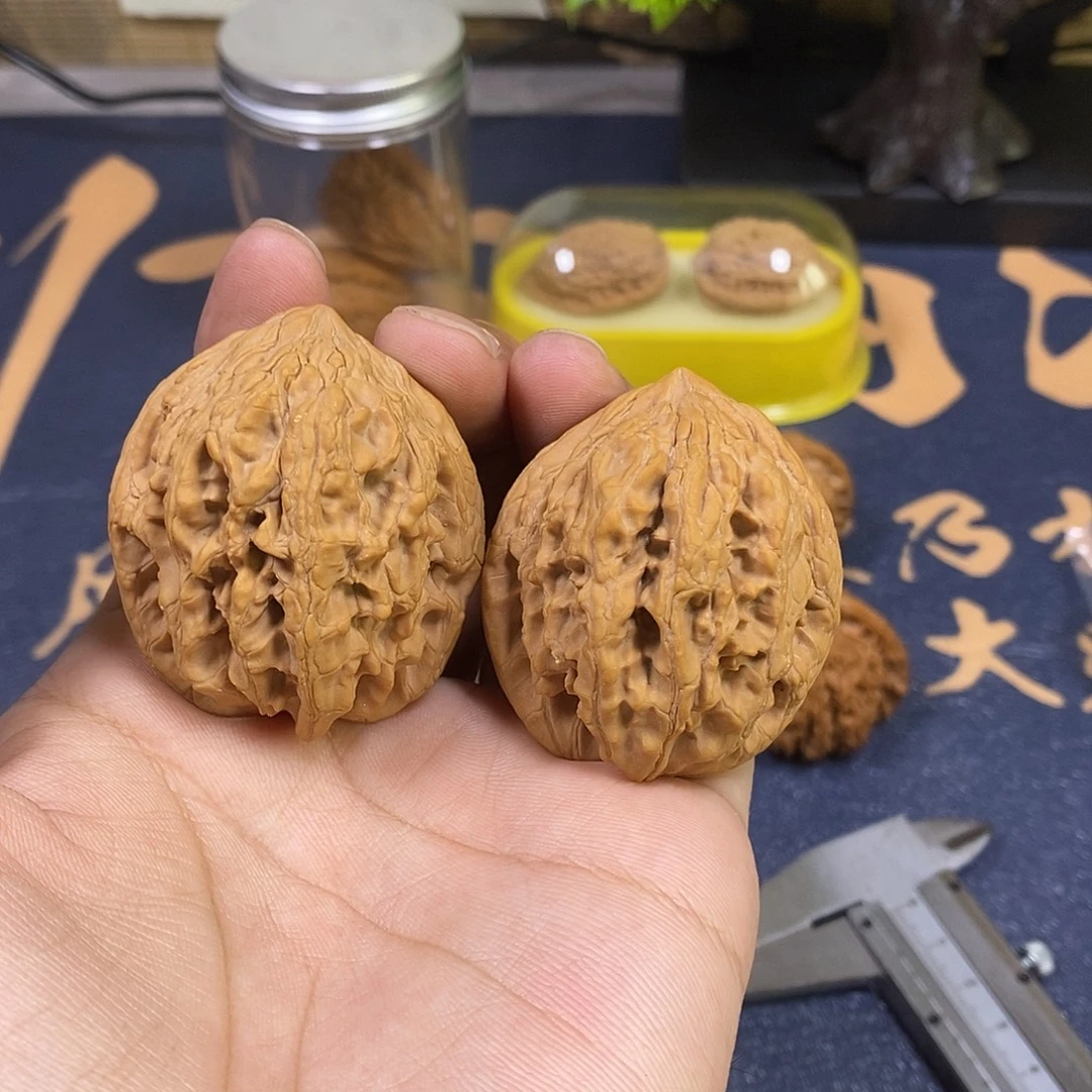 核桃42.5尺全品无修大沽石，2号