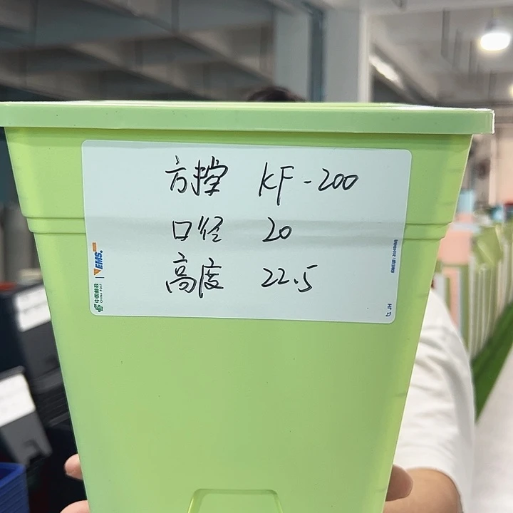 特价方盆口20高22果绿带托5只