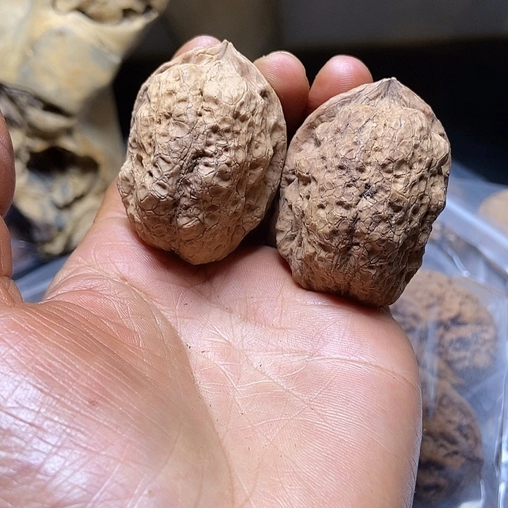 把件文玩核桃云南铁核桃基地36